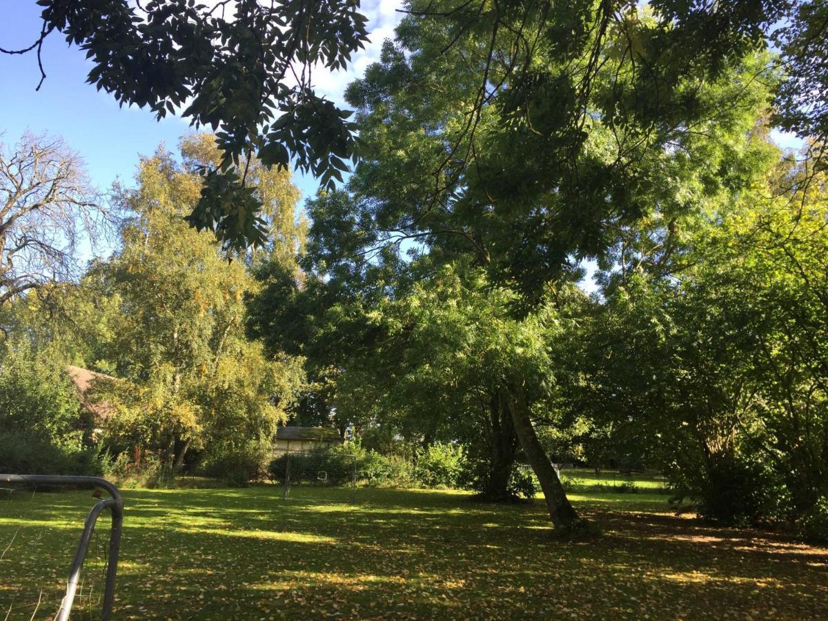 Mattchow Ferienhaus 1 _ Ferien Im Gutspark מראה חיצוני תמונה